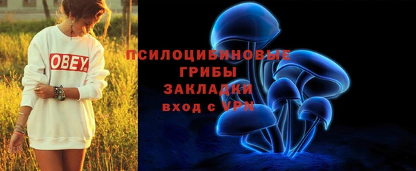 прущий лед Армянск
