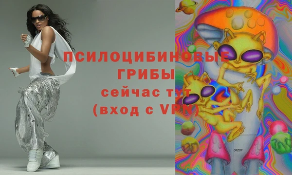 мет Арсеньев