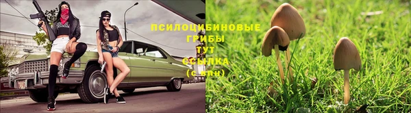 прущий лед Армянск