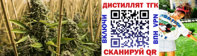 ТГК THC oil Новомосковск