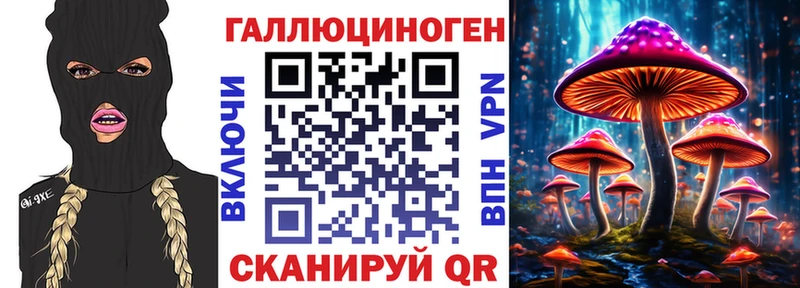 где купить наркоту  Новомосковск  Галлюциногенные грибы Psilocybe 