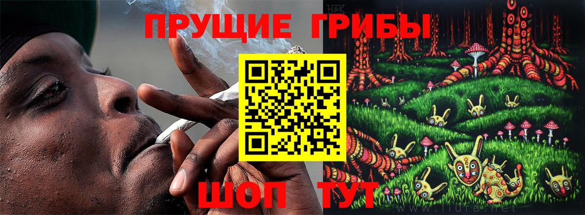 Псилоцибиновые грибы ЛСД Новомосковск