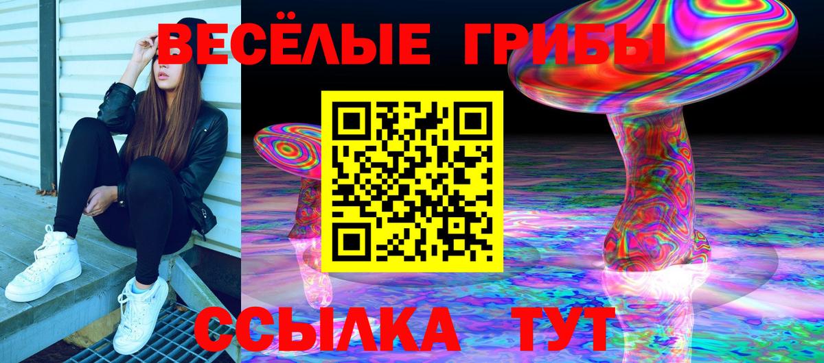 Галлюциногенные грибы Psilocybine cubensis  Вход с VPN  Новомосковск 