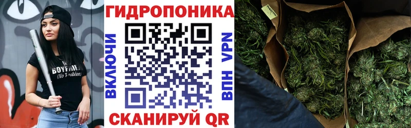 Марихуана сатива  Новомосковск 